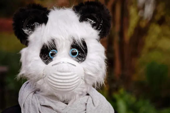 Bet9 Casino Supporto